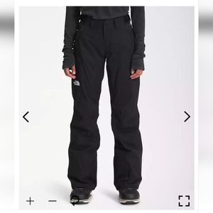 WORN ONCE North Face Freedom Insulated Pants Sz L Snow Snowboard Ski Hyvent